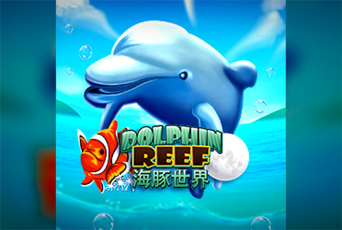 Dolphin Reef